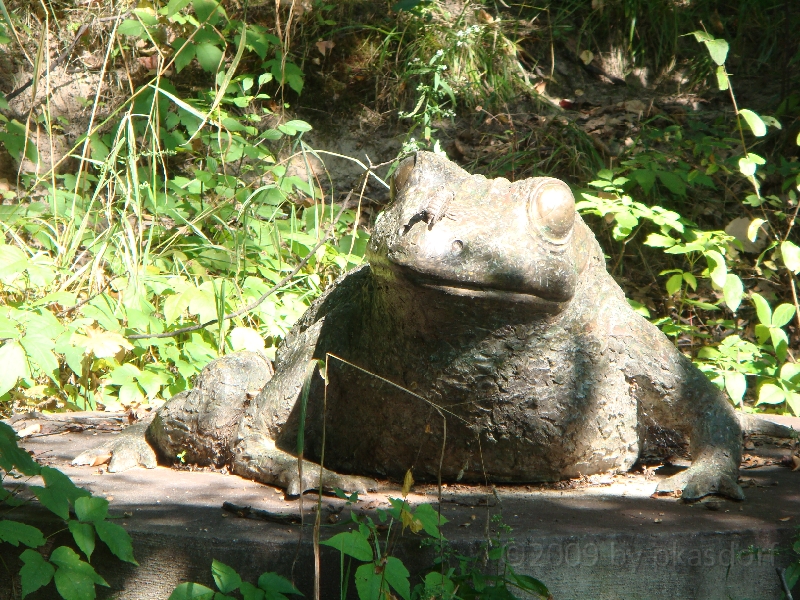 Western Michigan [2009] 383.JPG - Scenes from Frederik Meijer Gardens & Sculpture Park.